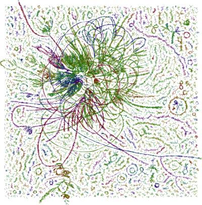 Entangled Genomes