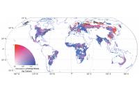 Drought Ecosystems