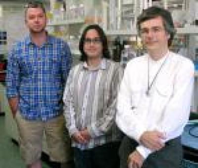 Kirill A. Afonin, Cody Geary and Luc Jaeger,   	 University of California - Santa Barbara