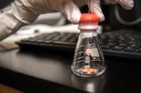 Why Lithium Metal Batteries Fail