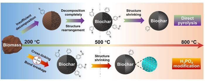 Effect mechanism of H3PO4 on the formation and transformation of persistent free radicals in biochar