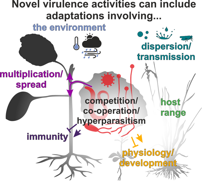 A spectrum of novel virulence activities.