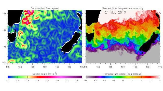 'Smoke Rings' Spotted in the Ocean