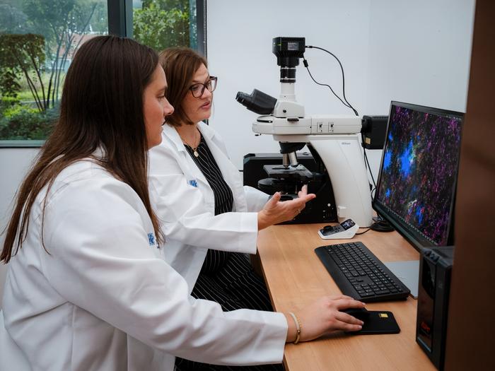 Macauley examining imaging