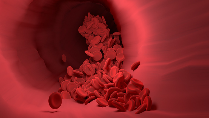 A blood vessel
