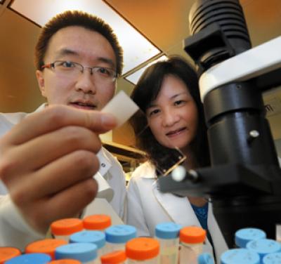 Drs. Fulei Tang and Wen-Cheng Xiong, Georgia Health Sciences University
