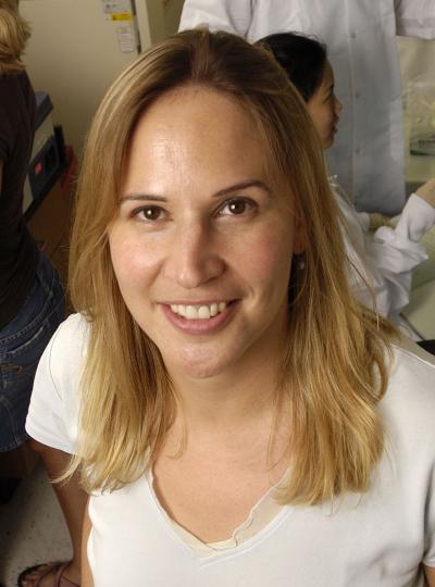 Sharon Gerecht, The Johns Hopkins University