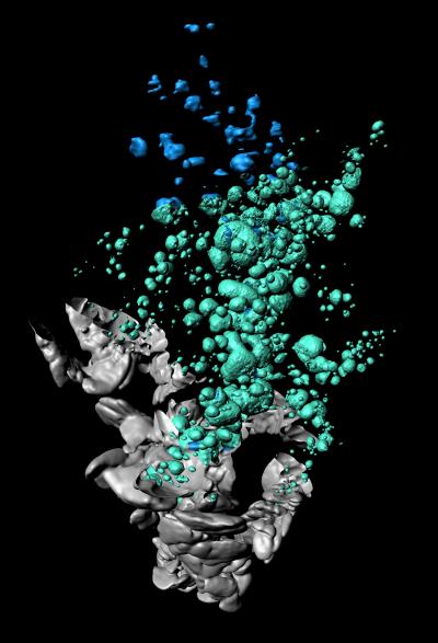OPT Rendered Image of a Pancreas