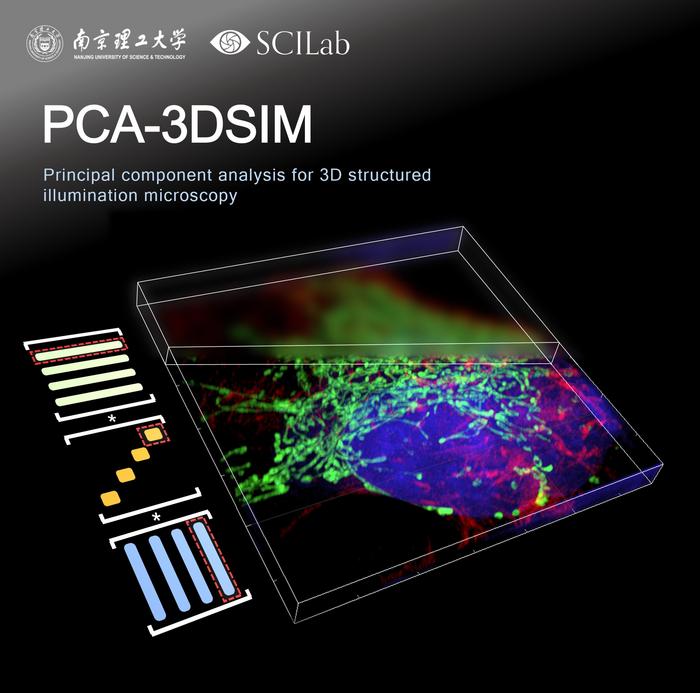 Figure | Principal component analysis boosts 3D super-resolution microscopy.