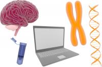 Genetic Analysis Finds Common Mutation in Rare Neurological Diseases