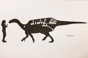 Istiorachis artist impression