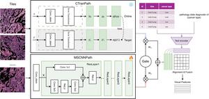 PolyU develops AI-powered virtual patient simulation system integrating multimodal data to advance personalised cancer treatment