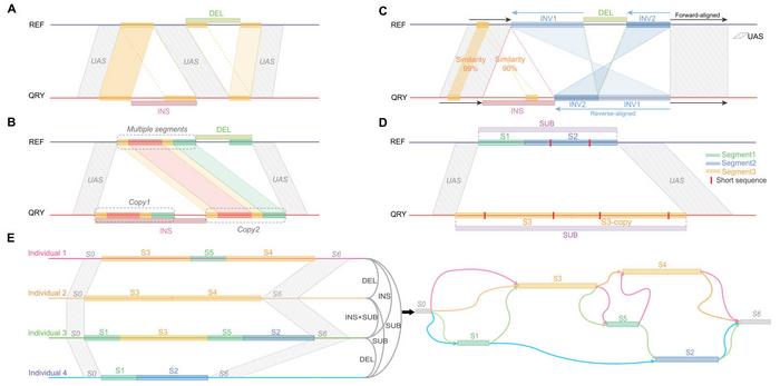 Defining of SV types.