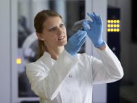 Organic Electronics Lab