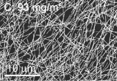 Scanning Electron Microscopy of Nanowires of Silver