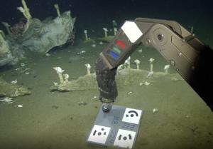 ROV Hercules