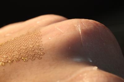 Stretchable Electronic 'Skin' (2 of 9)