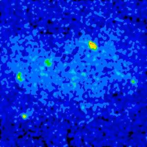 Acetylcholine dynamics within the brain