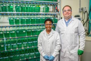 Researchers with tanks of fish