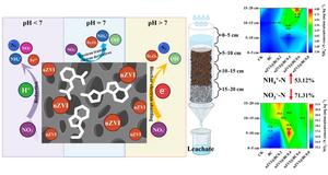 Effective removal of nitrate nitrogen from water and soil using biochar-loaded nano zero-valent iron: performance and mechanisms