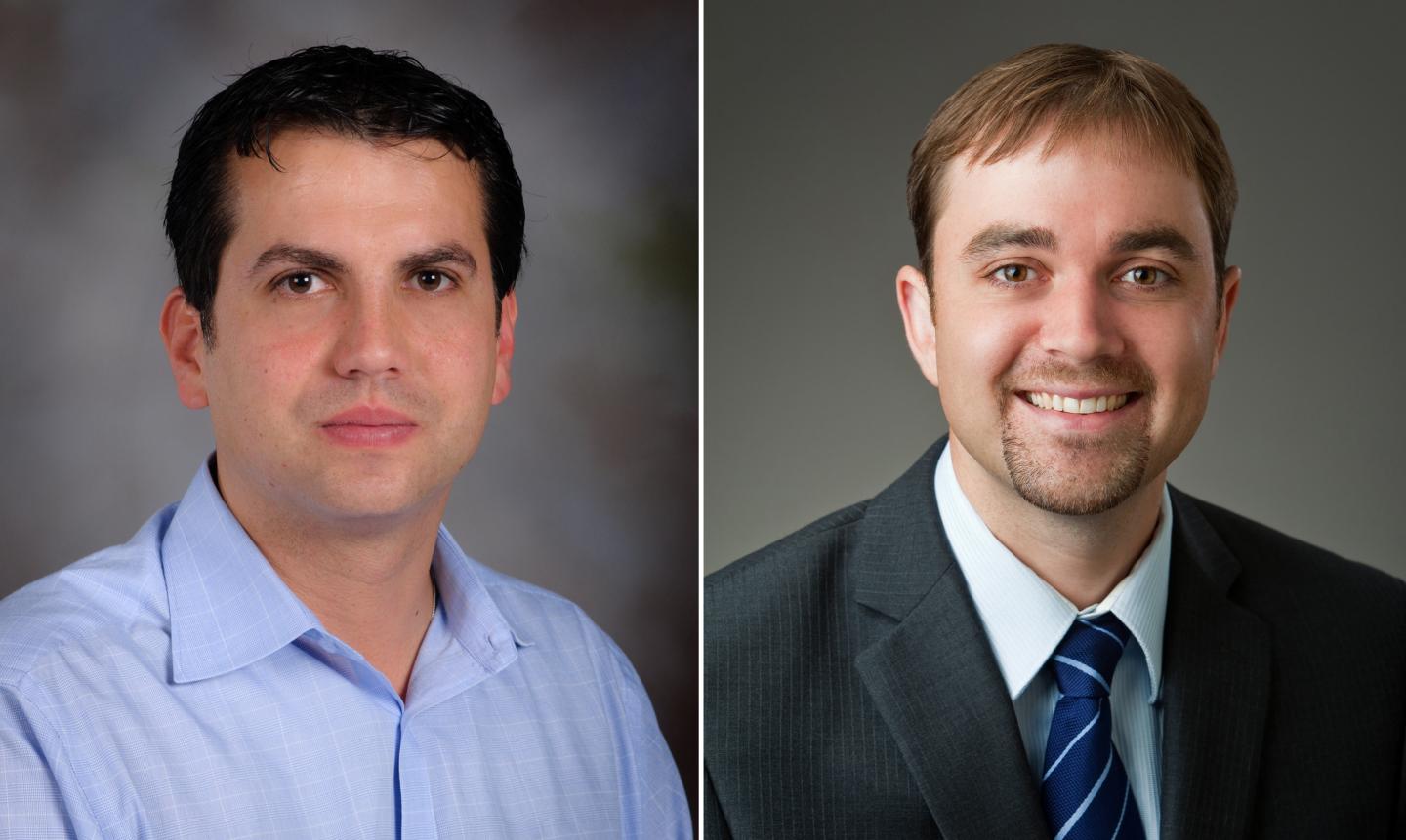 Rafael Davalos and Scott Verbridge, Virginia Tech