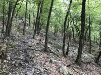 On quartzite