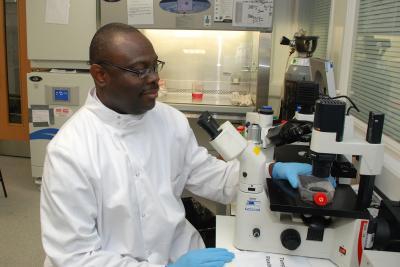Olumayokun Olajide, University of Huddersfield