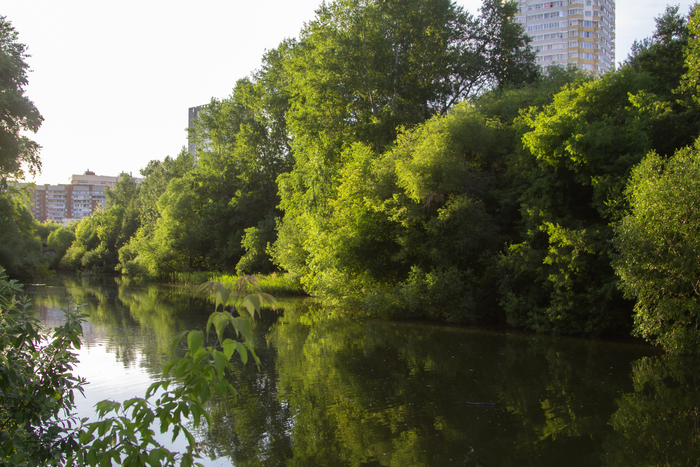 Nature in Russia