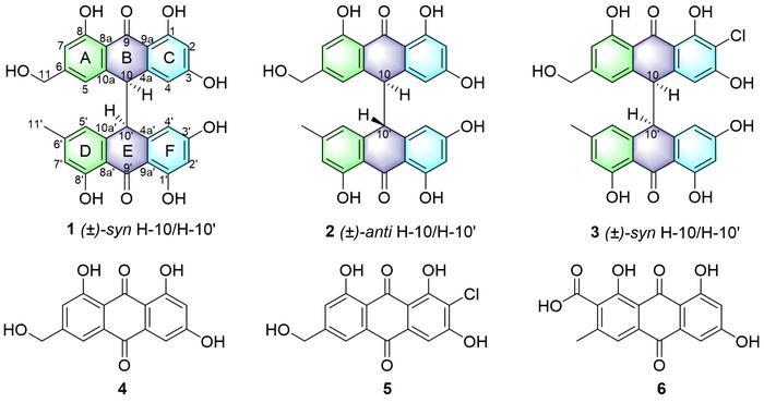 Figure 1. Chemical structures of compounds 1−6 (arbitrary enantiomers displayed for 1−3).