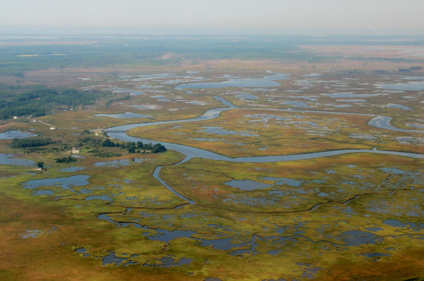 Wetland Migration Barrier