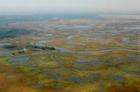 Wetland Migration Barrier