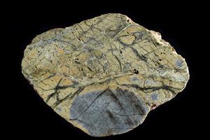 Altered mantle rock