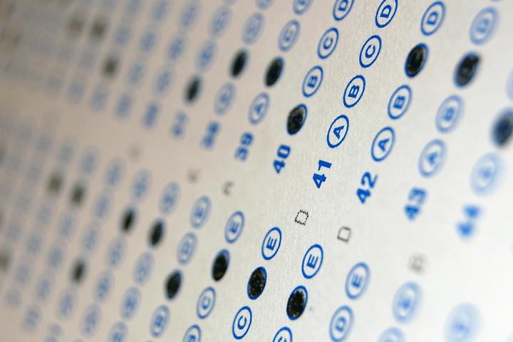Is There a Link between Infertility and Child Educational Outcomes?