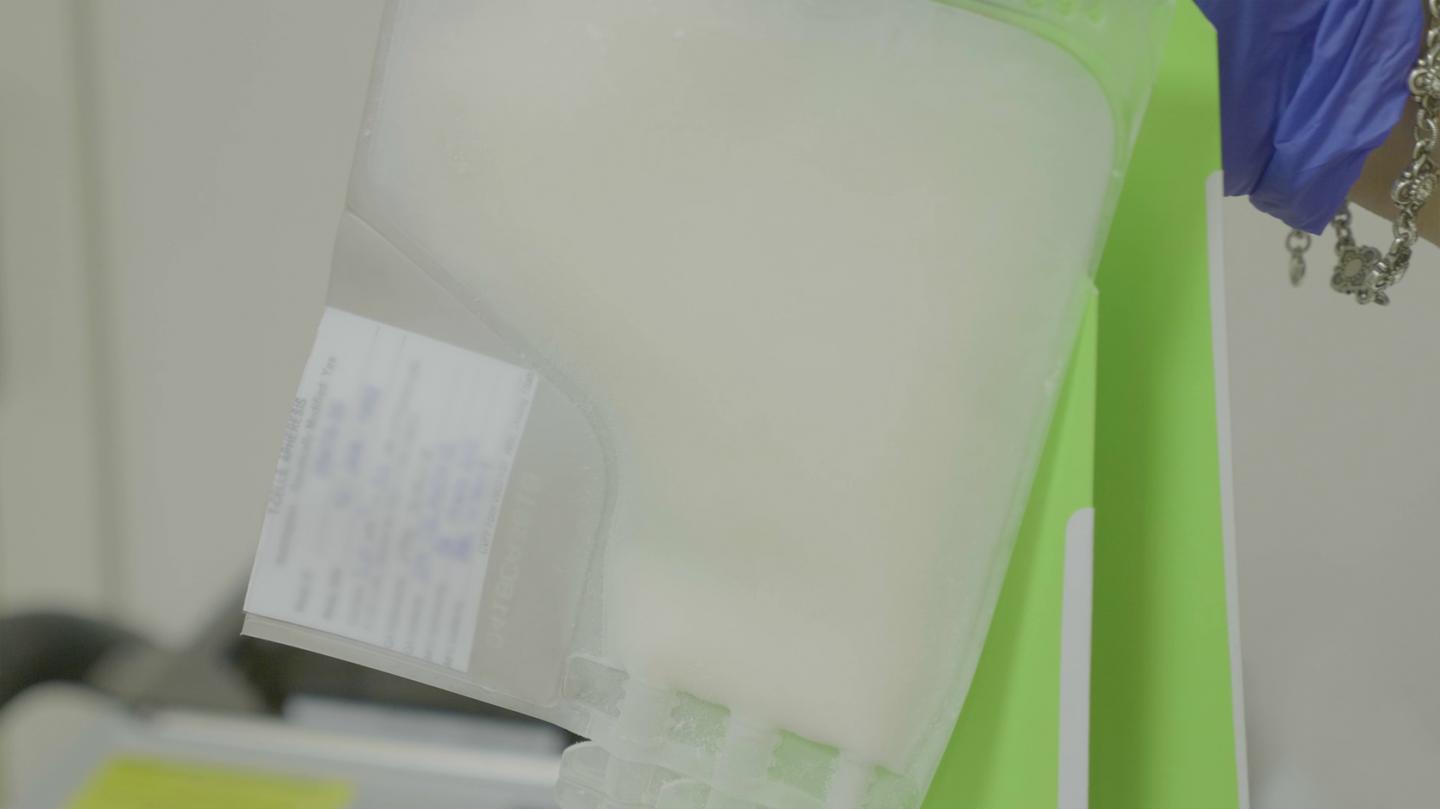 CRISPR Cells