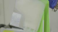 CRISPR Cells