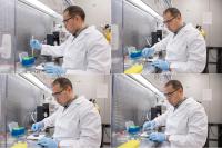 Better Plant Edits by Enhancing DNA Repair (2 of 3)
