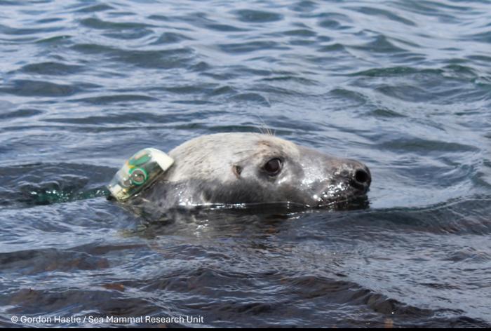 Seal with tracker