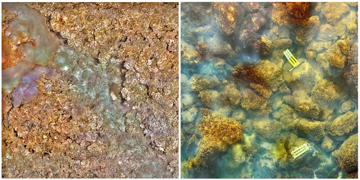 High Resolution Images before and After