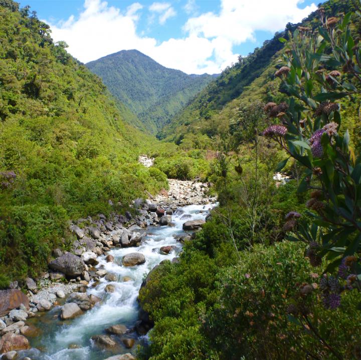Ecuador