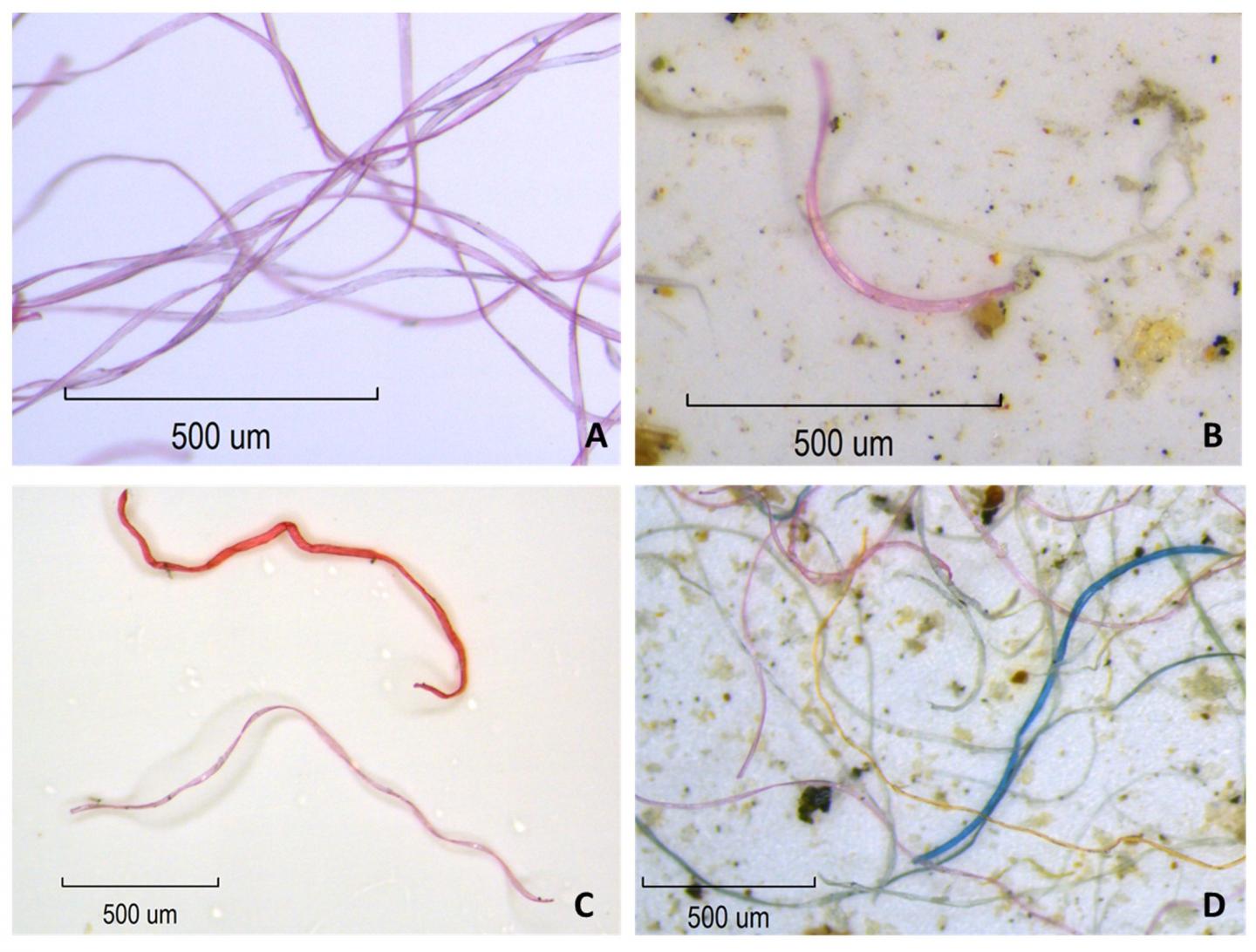 Electric Clothes Dryers: An Underestimated Source of Microfiber Pollution