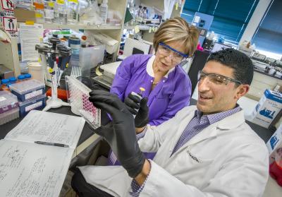 Mina Bissell and Cyrus Ghajar, DOE/Lawrence Berkeley National Laboratory