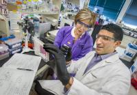 Mina Bissell and Cyrus Ghajar, DOE/Lawrence Berkeley National Laboratory