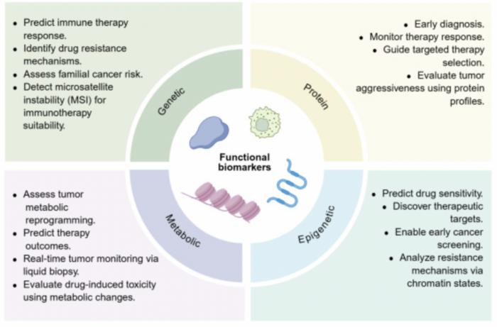 Functional classification of tumor biomarkers by molecular type and clinical applications