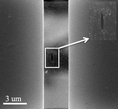 Graphene (1 of 2)