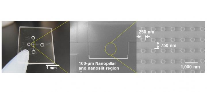 An Innovative Nanobiodevice for Ultrafast Cancer Detection