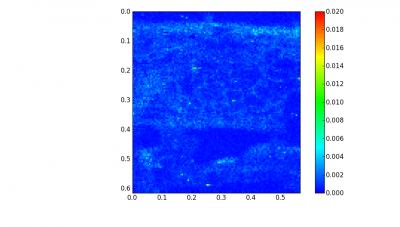 Detection of Nanoparticle in Plant Tissue