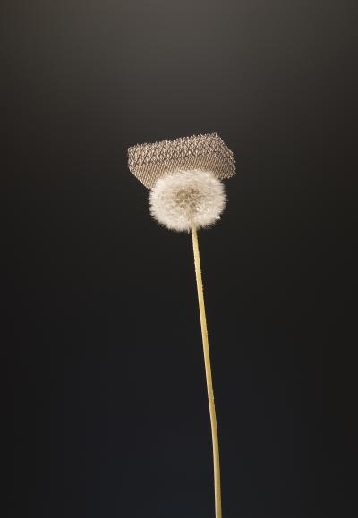 New Metal Lattices Are Mostly Air (2 of 3)