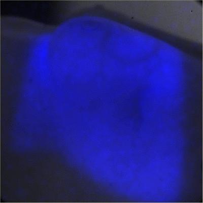 Cherenkov Output