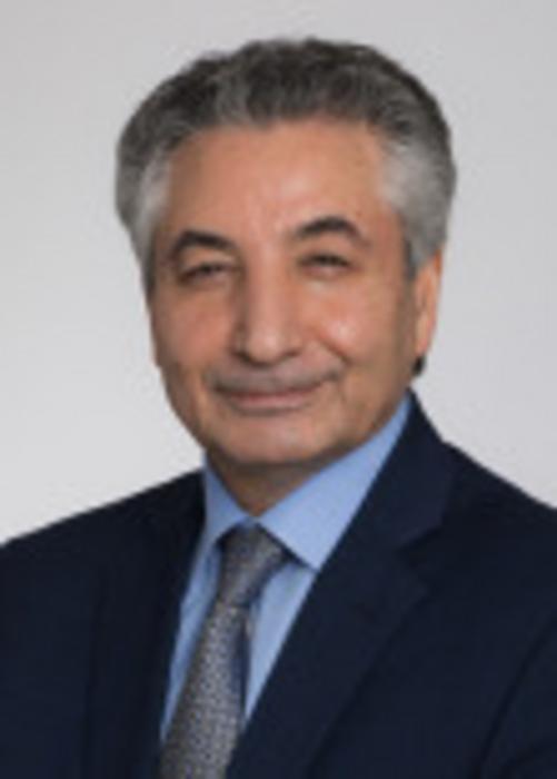 Professor Khosrow Adeli