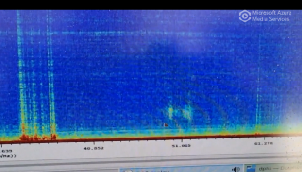 Fin whale cruising by a fibre-optic cable off Svalbard